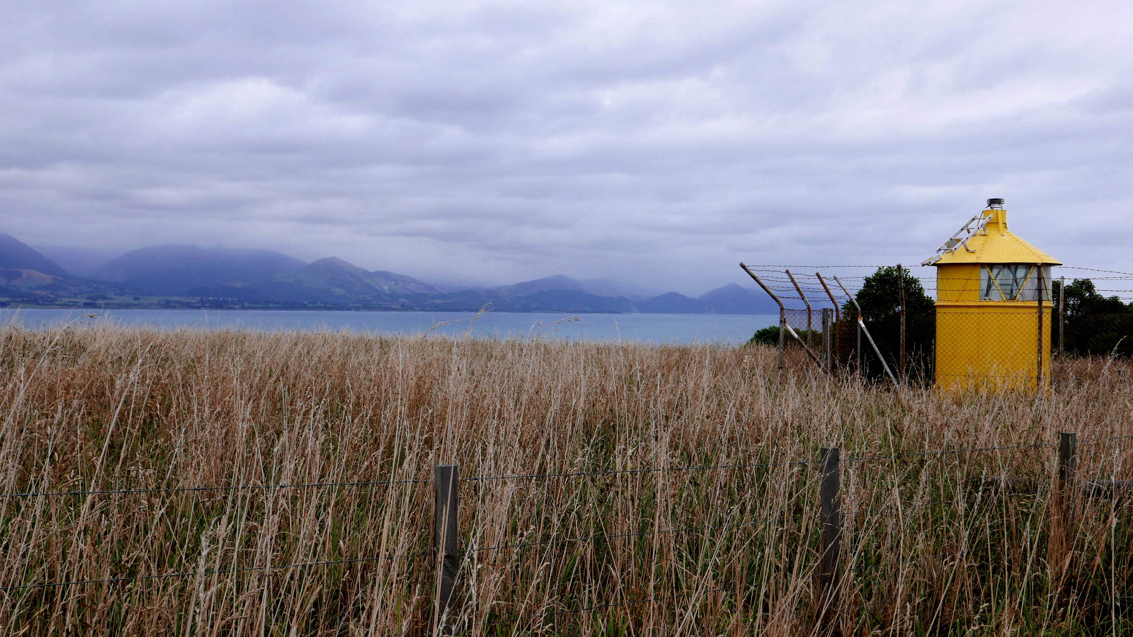 A Family of Four Experiences the South Island of New Zealand