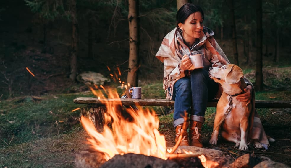 terrain de camping